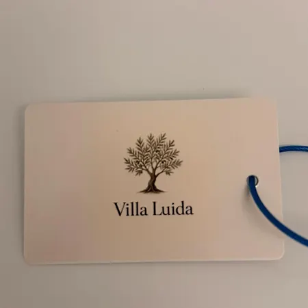 Luida פסטום